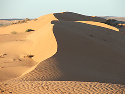endless dune